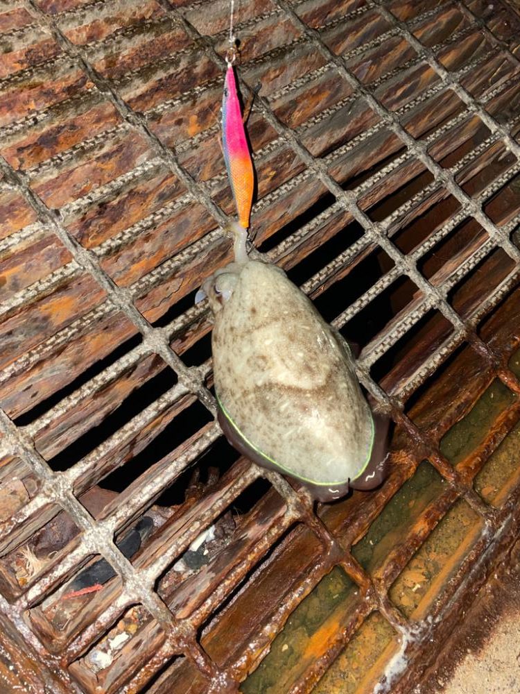 初めて投稿します。