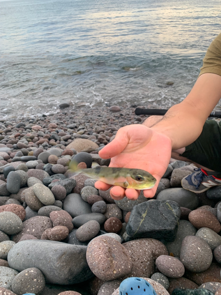 家族旅行中の釣行