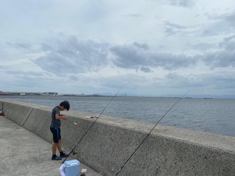 台風前にサヨリ釣り