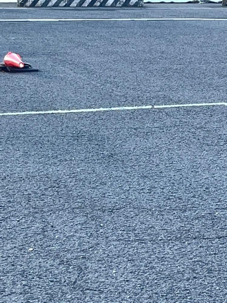 ファミリーフィッシング