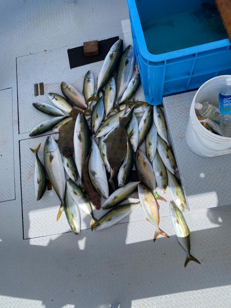 淡路島　落とし込み釣り