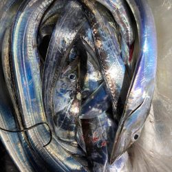 タチウオテンヤ