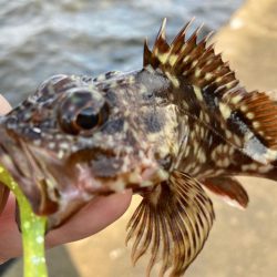 潮が動くと・・・