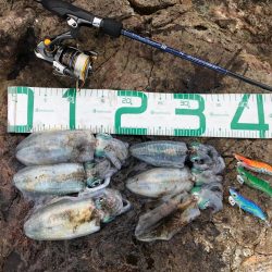 2022 佐渡ヶ島エギング 6回目