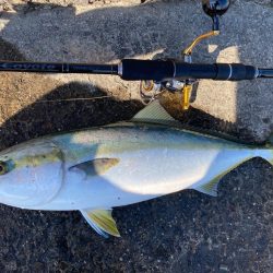 NEWロッド鱗付け