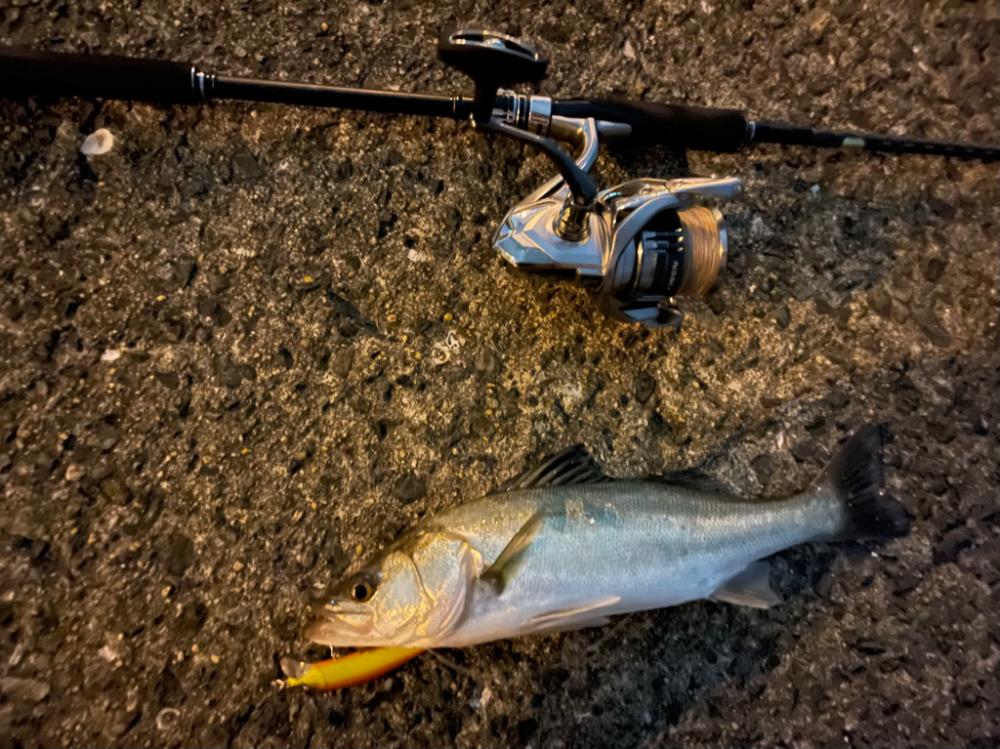 強波動の力恐るべし