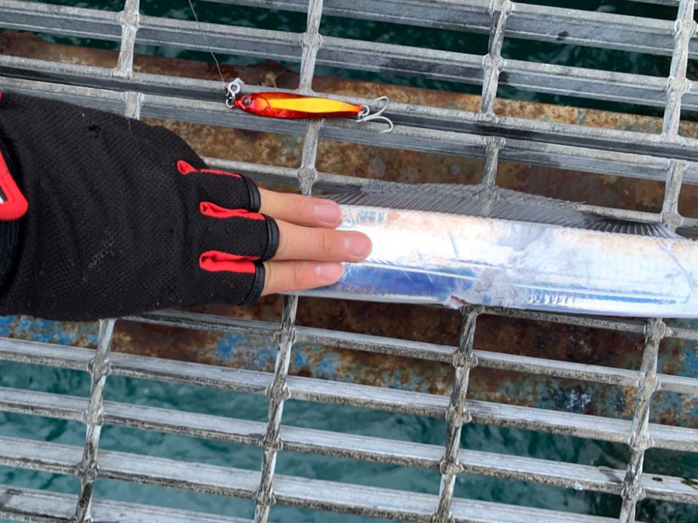 爆風の中の釣り