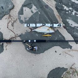 台風明けサーフ