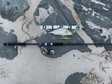 台風明けサーフ