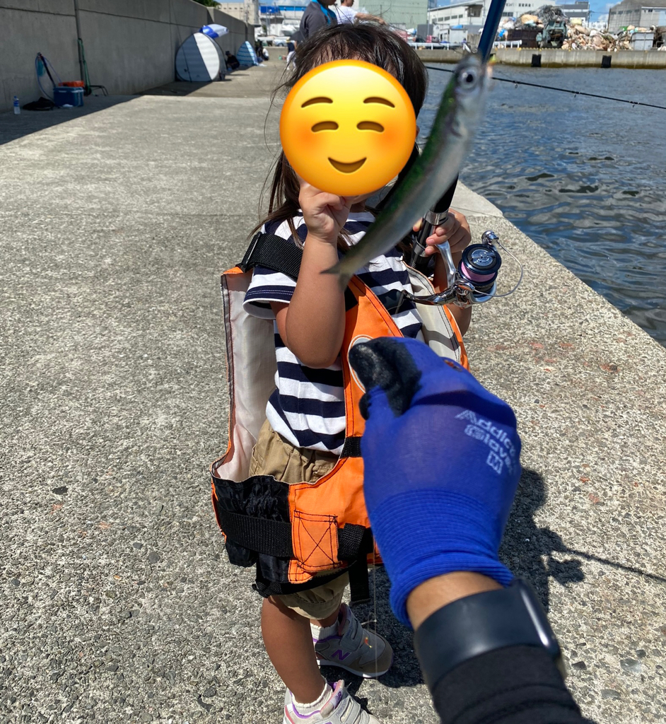 サビキ釣りでカタクチイワシ