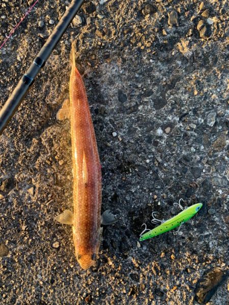 コルトスナイパーBBに鱗付け