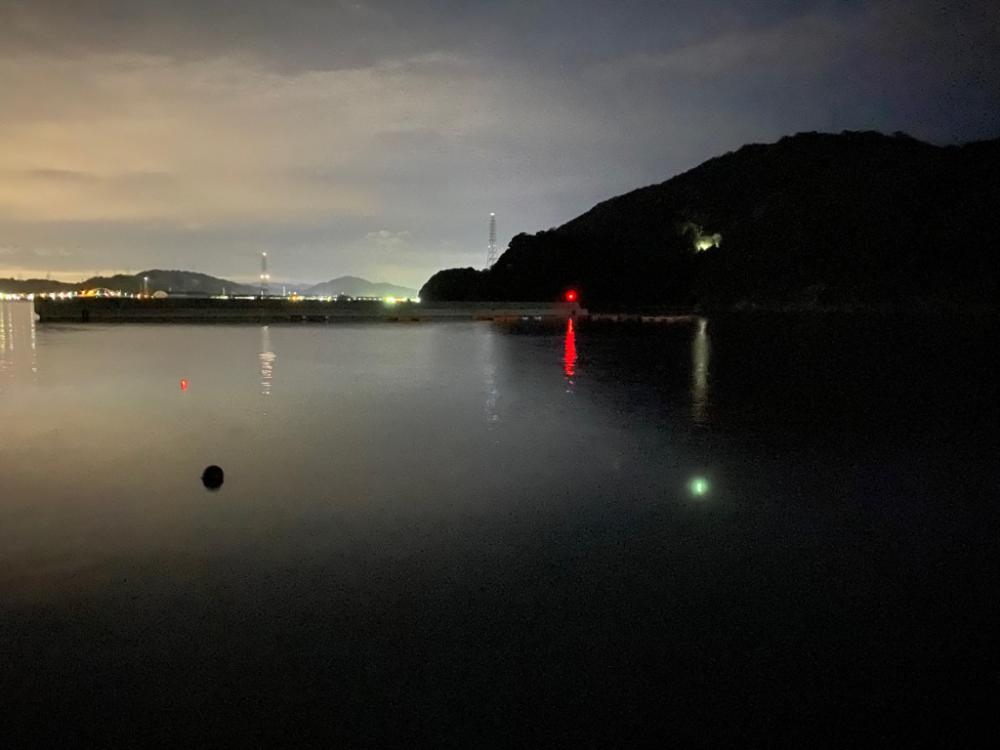 陸っぱり今期初タチウオ