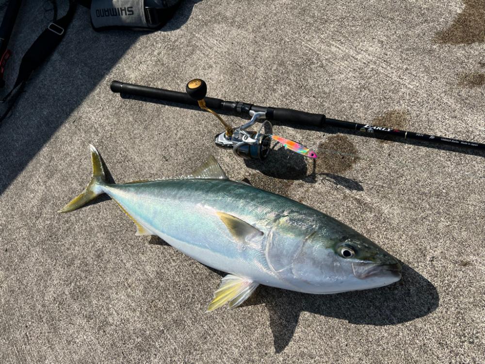 久しぶりのショアジギ