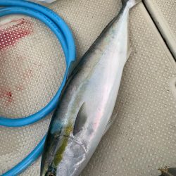 今年初明石ジギング！