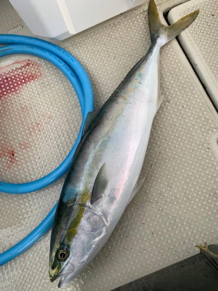 今年初明石ジギング！