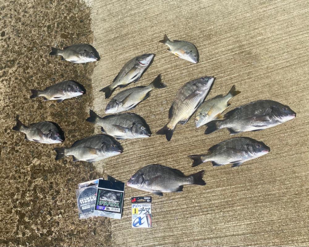 干潮からのスタート