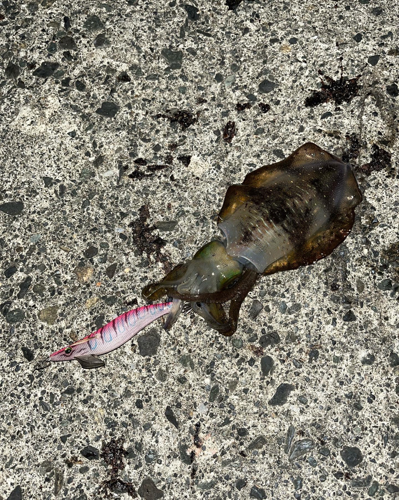 台風前の秋の気配