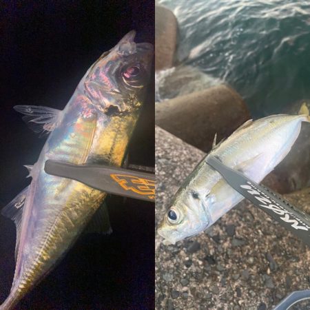 マズメチャレンジ