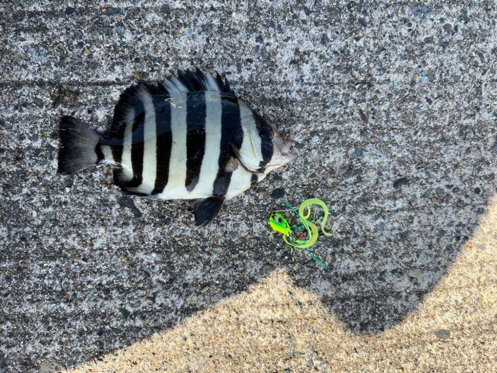 旅行ついで釣行2