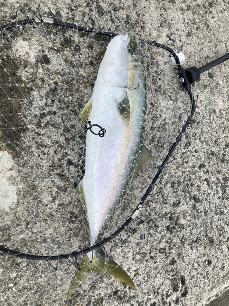 第5回雰囲気あります