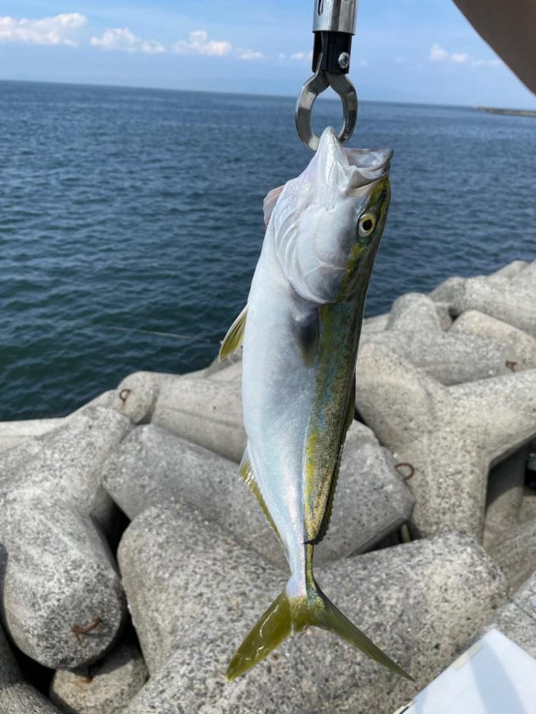 激戦区チャレンジ2