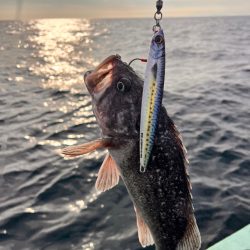 オフショアジギング