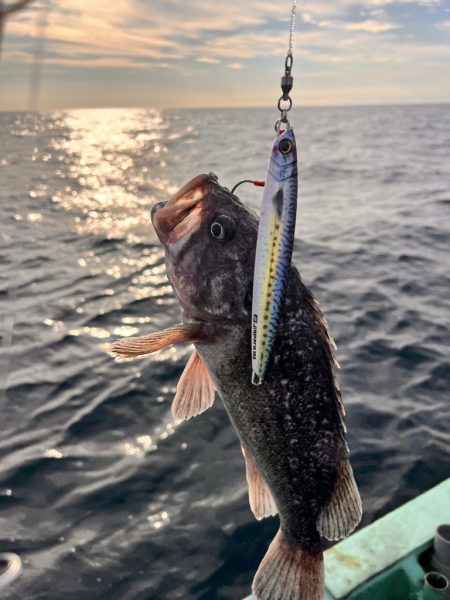 オフショアジギング