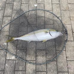 現地6時インにも光が…