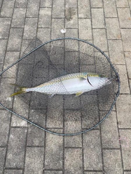 現地6時インにも光が…