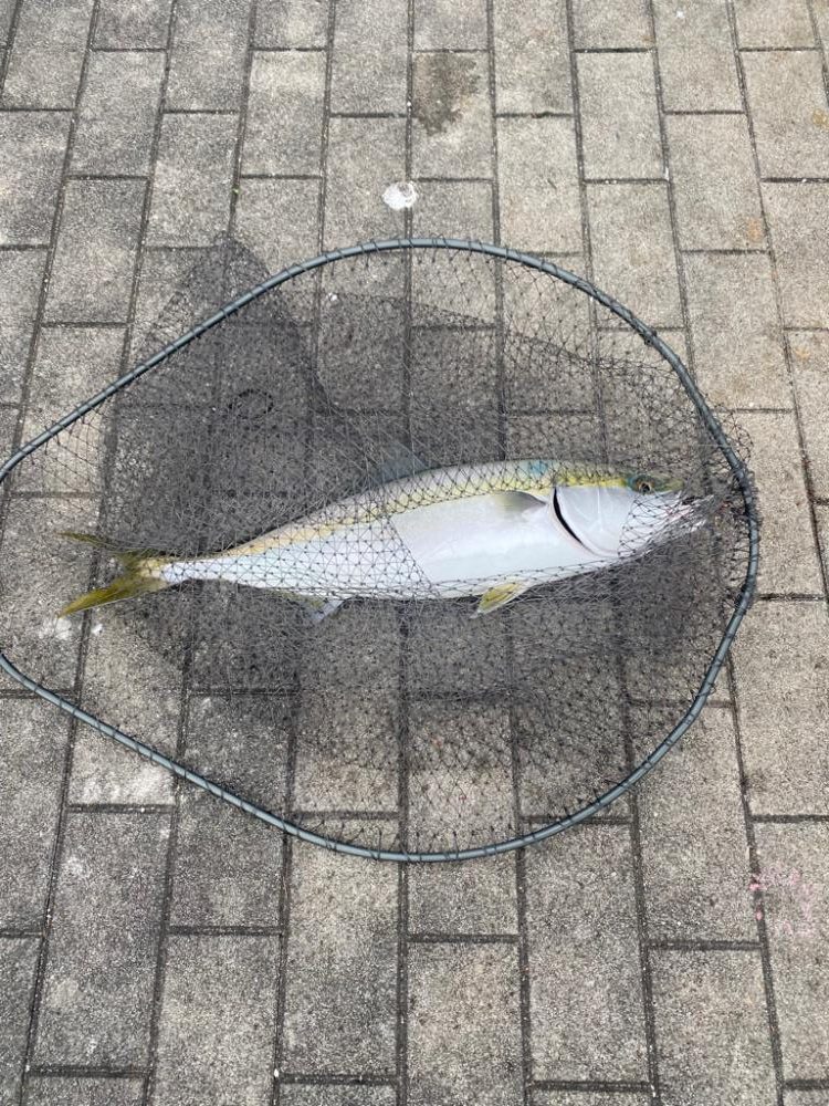 現地6時インにも光が…