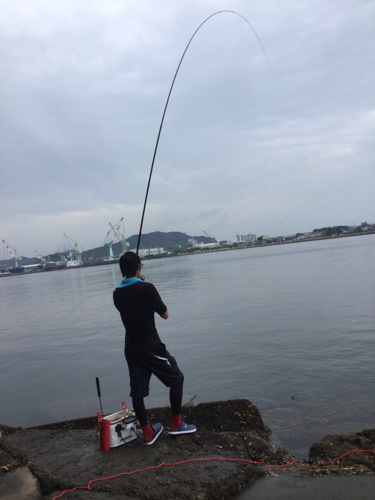 フカセ釣りでチヌ釣り