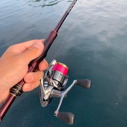 台風前のエギング釣行