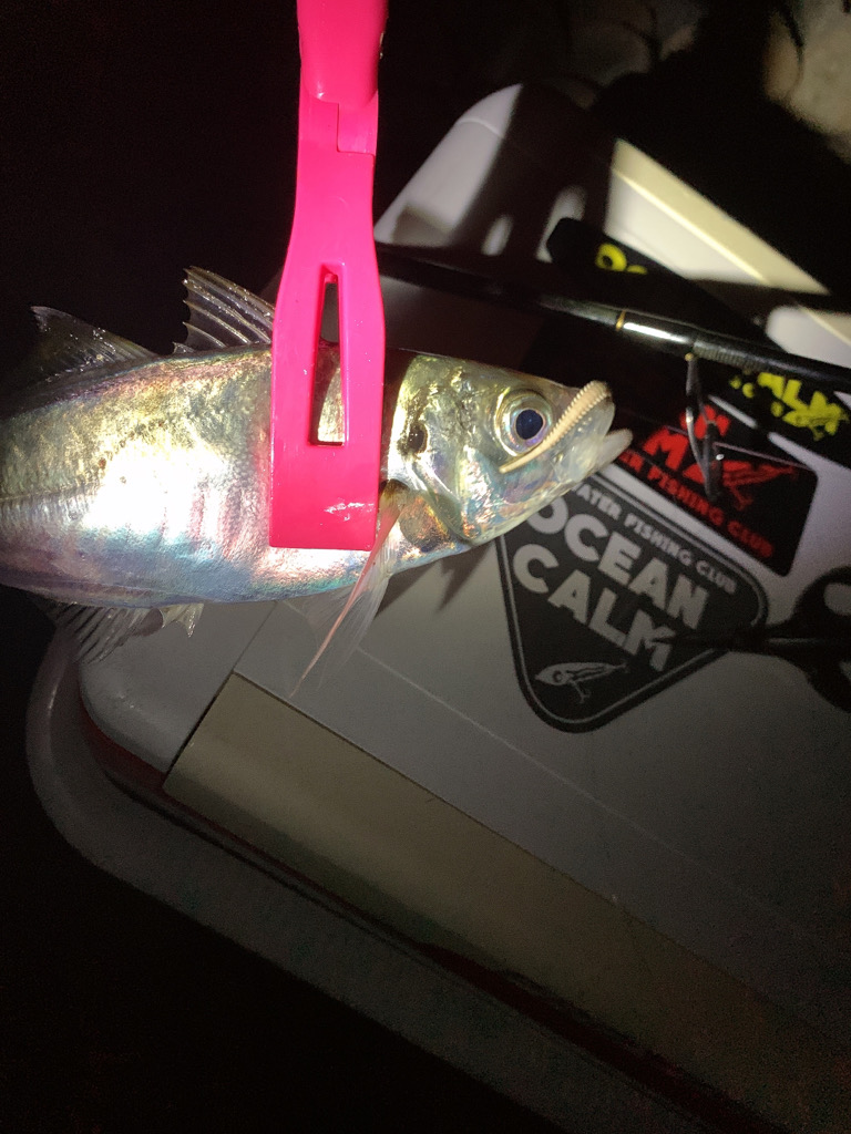 フロートアジング