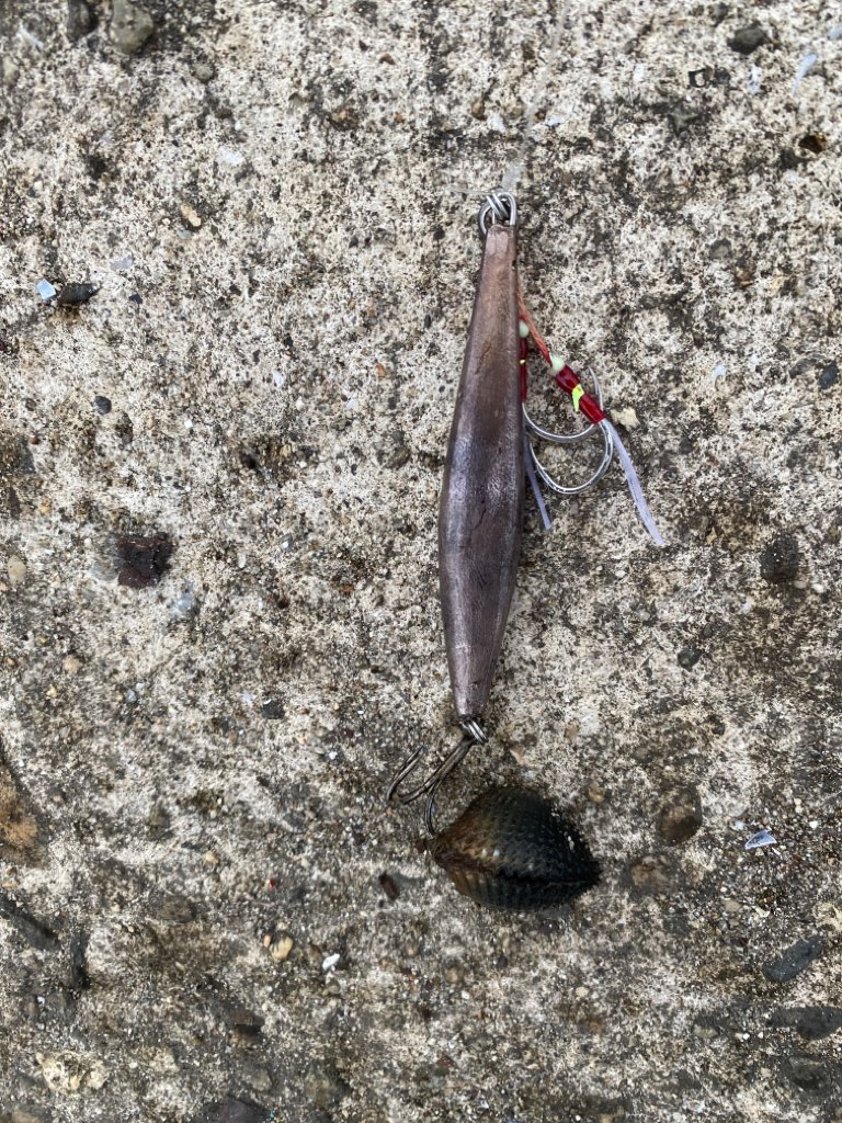 朝まづめハマチバラシのちサバゲー