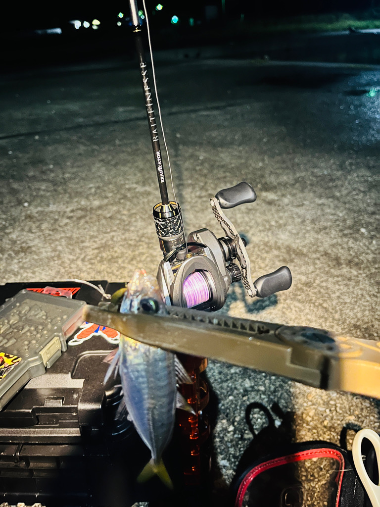 アジングという名の五目釣り