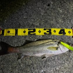 再現性を求めて