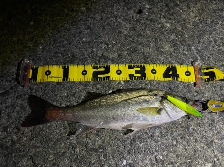 再現性を求めて