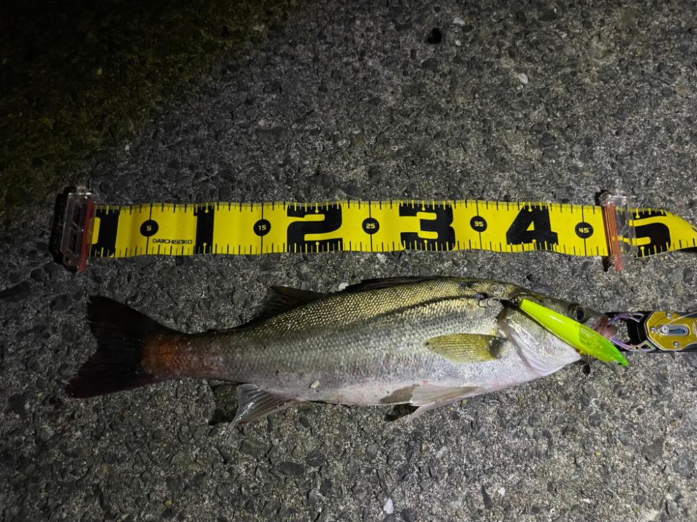 再現性を求めて