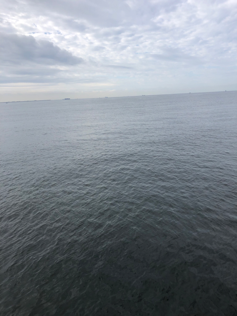 メジロ64センチ