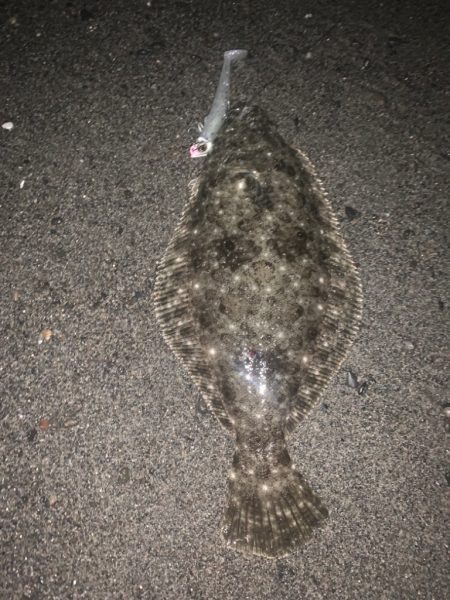 フリフリシャッドでフラット！