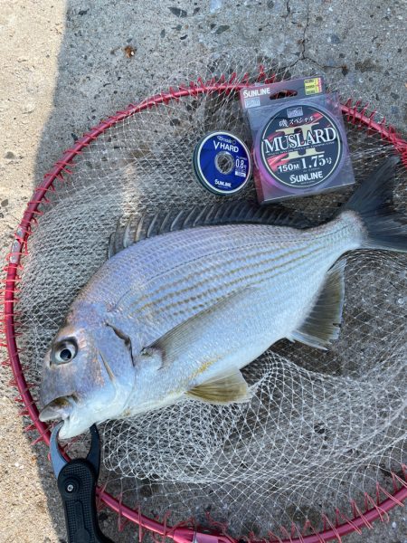 のんびりチヌ釣り❗️