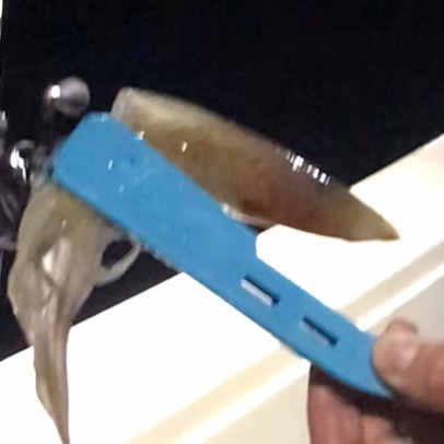 地獄のイカメタル