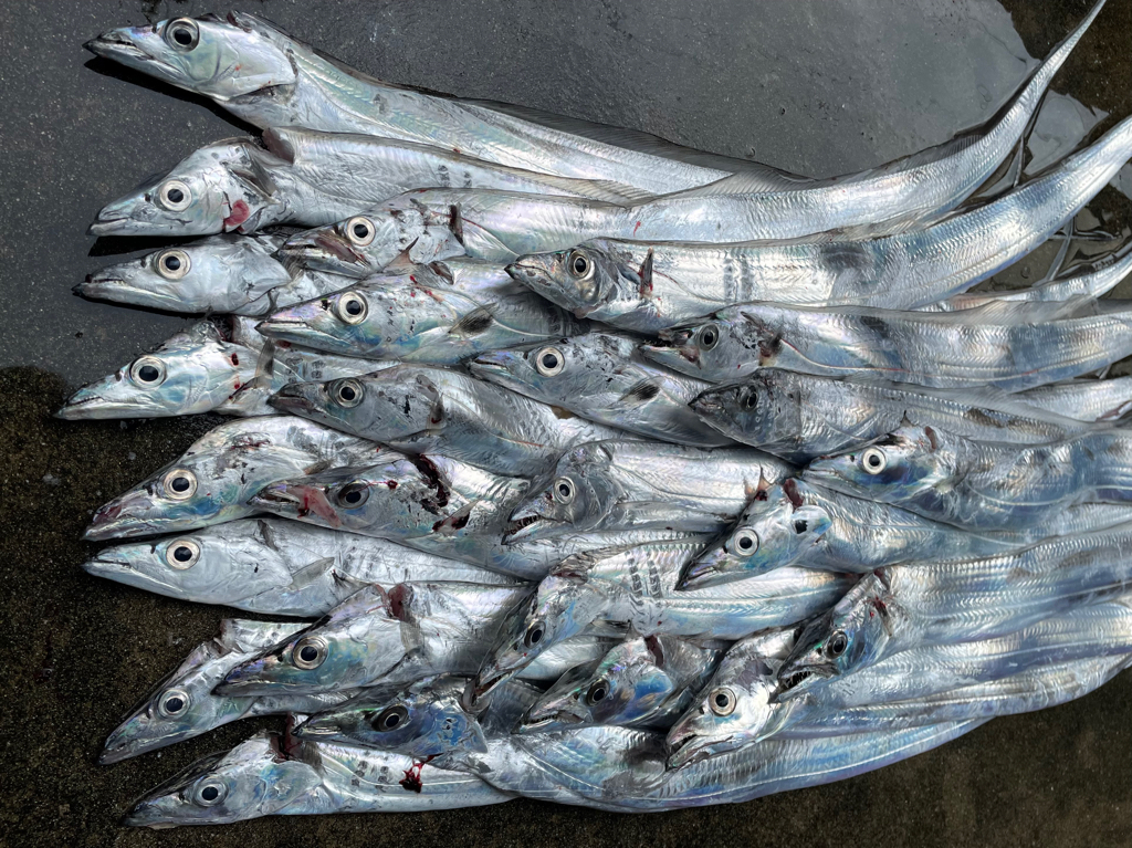 自己新記録‼️