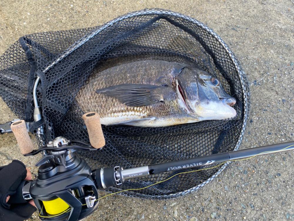 夏チニング 　終盤