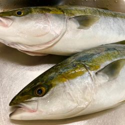 巻いて巻いて巻きまくれにゃー！