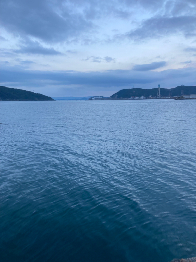 久々のアオリイカ