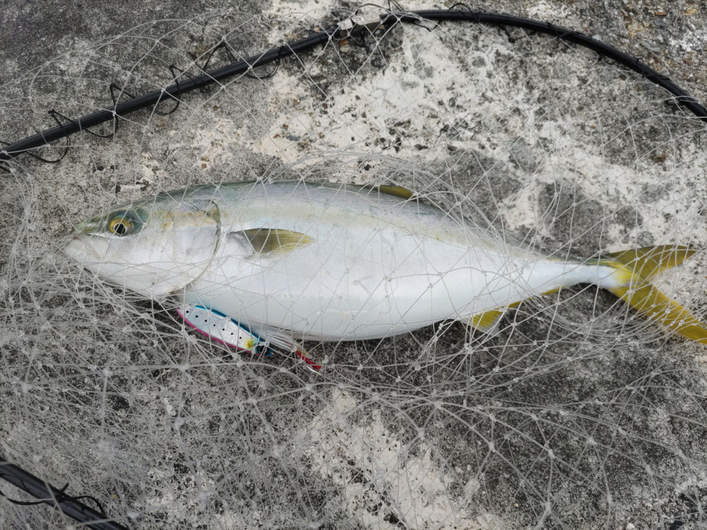 第六回雰囲気あります