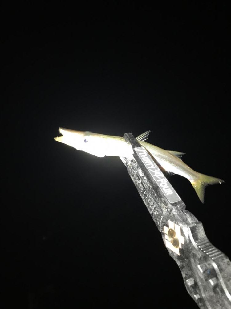 台風通過後から数日経過…