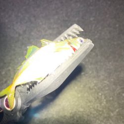 世にも奇妙なアジング