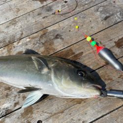 辨屋で青物堪能